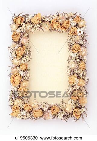A frame of yellow flowers View Large Photo Image Stock Image - A frame of yellow flowers. Fotosearch