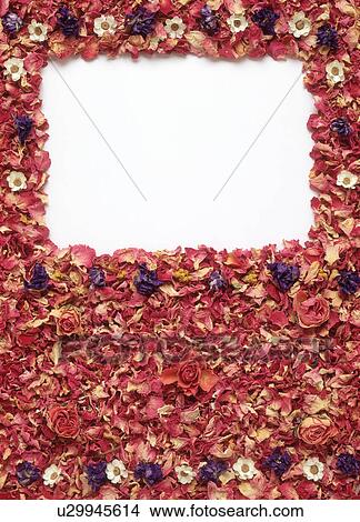 Picture - A rectangular frame formed by flowers. Fotosearch