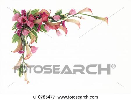 Stock Photo - Bunch of flowers beautifully arranged. Fotosearch