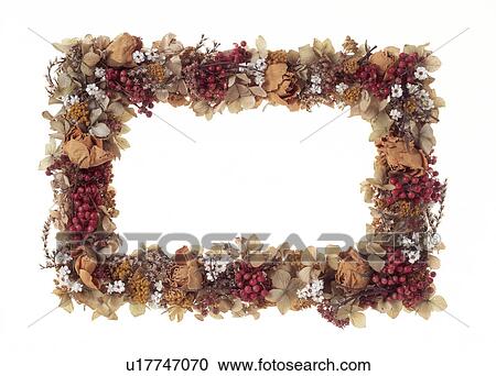 Close-up of a flower frame View Large Photo Image Stock Image - Close-up of a flower frame. Fotosearch