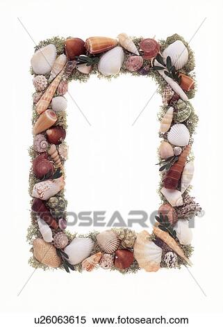 Stock Photography - Close-up of a frame made of shells. Fotosearch