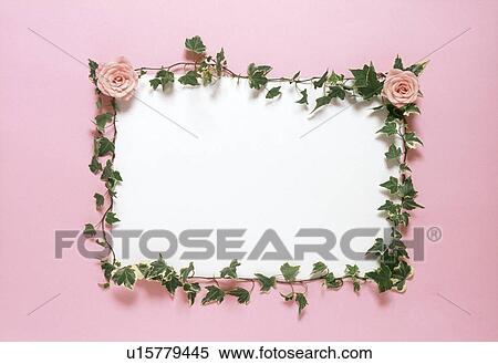 Stock Photography - Close-up of a frame with roses. Fotosearch