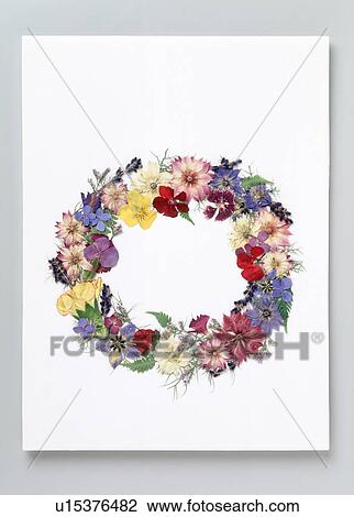 Stock Image - Close up of a wreathe. Fotosearch