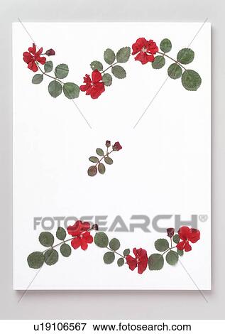 Close-up of designed flowers with leaves View Large Photo Image Stock Photo - Close-up of designed flowers with leaves. Fotosearch
