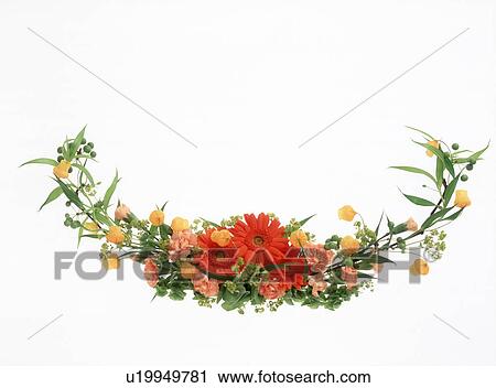 Cluster of flowers beautifully arranged View Large Photo Image Stock Image - Cluster of flowers beautifully arranged. Fotosearch