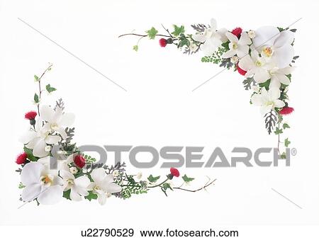 Cluster of flowers beautifully arranged View Large Photo Image Stock Photo - Cluster of flowers beautifully arranged. Fotosearch