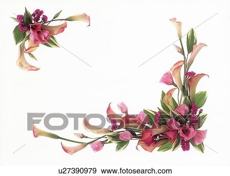 Cluster of flowers beautifully arranged View Large Photo Image Stock Photo - Cluster of flowers beautifully arranged. Fotosearch