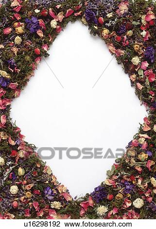 Stock Image - View of a frame formed by flowers. Fotosearch