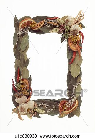 Stock Image - View of a frame of leaves. Fotosearch
