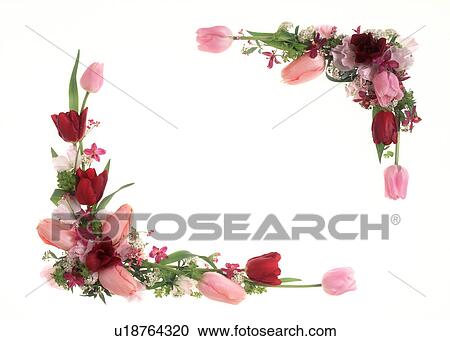 Stock Image - View of beautifully arranged colorful flowers. Fotosearch