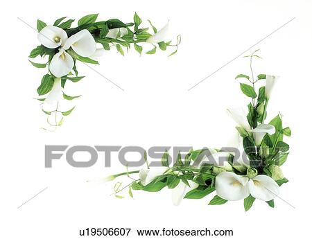 Stock Photo - View of beautifully arranged flowers and leaves. Fotosearch