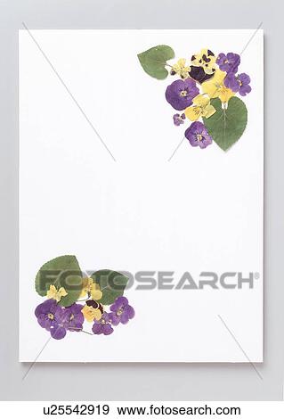View of beautifully arranged flowers and leaves View Large Photo Image Stock Photo - View of beautifully arranged flowers and leaves. Fotosearch