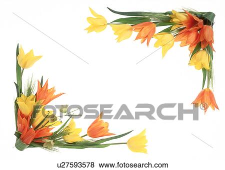 Stock Photo - View of beautifully arranged flowers. Fotosearch