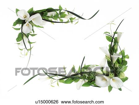 View of beautifully arranged flowers and buds View Large Photo Image Stock Photograph - View of beautifully arranged flowers and buds. Fotosearch