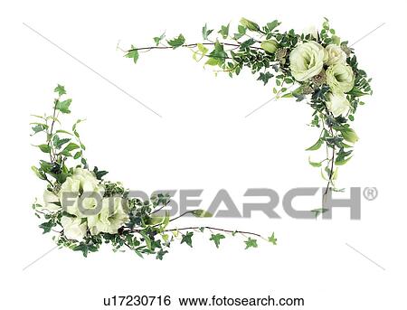 View of beautifully arranged flowers and leaves View Large Photo Image Stock Photograph - View of beautifully arranged flowers and leaves. Fotosearch