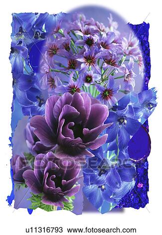 Stock Image - A collage of colorful flowers. Fotosearch
