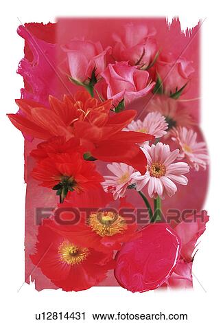 Stock Image - A collage of variety of flowers. Fotosearch