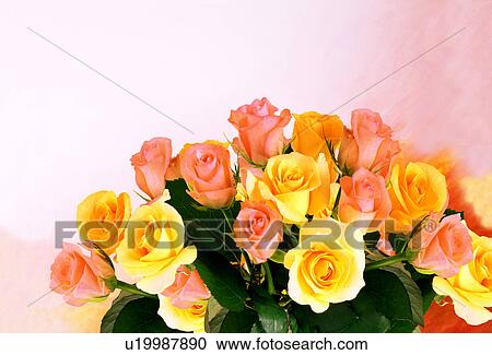Close-up of a bouquet of colorful roses. View Large Photo Image Stock Image - Close-up of a bouquet of colorful roses.. Fotosearch