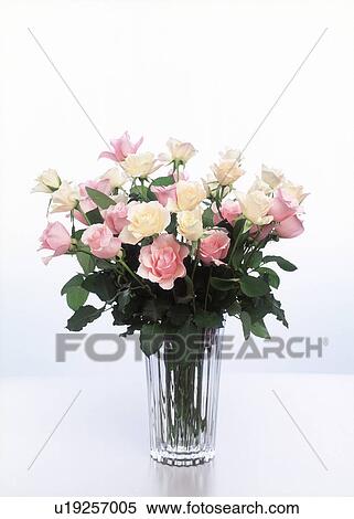 Close-up of a bunch of roses in a vase View Large Photo Image Stock Photography - Close-up of a bunch of roses in a vase. Fotosearch