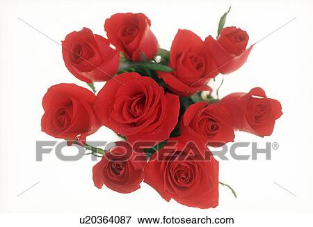 Stock Photo - Close-up of a bunch of roses. Fotosearch