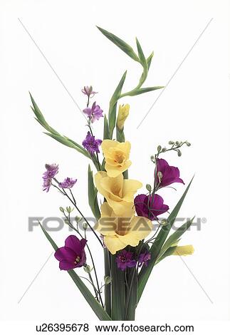 Stock Photo - Close-up of colorful flowers.. Fotosearch