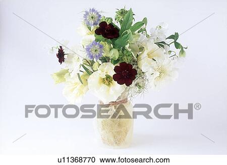 Close-up of flowers in a vase. View Large Photo Image Stock Image - Close-up of flowers in a vase.. Fotosearch