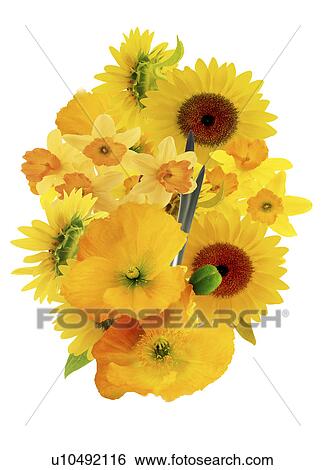Stock Photograph - Close-up of yellow flowers. Fotosearch