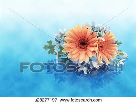 View of a bunch of flowers in water. View Large Photo Image Stock Photo - View of a bunch of flowers in water.. Fotosearch