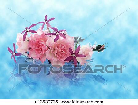 View of a bunch of flowers in water. View Large Photo Image Stock Photography - View of a bunch of flowers in water.. Fotosearch