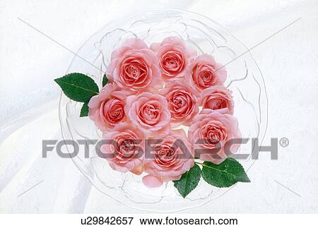 View of pink roses in a bowl View Large Photo Image Stock Photo - View of pink roses in a bowl. Fotosearch