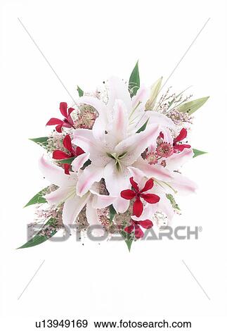 Close-up of a decorative bouquet. View Large Photo Image Stock Photo - Close-up of a decorative bouquet.. Fotosearch