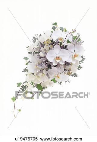 Stock Photography - Close-up of a decorative bouquet.. Fotosearch