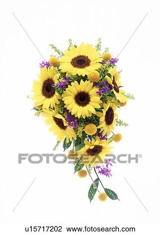 Stock Image - View of a decorative bouquet.. Fotosearch