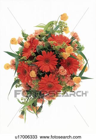View of a decorative bouquet. View Large Photo Image Stock Image - View of a decorative bouquet.. Fotosearch