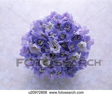 Stock Photo - View of a decorative bouquet.. Fotosearch