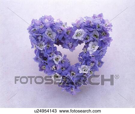 View of a heart-shaped garland. View Large Photo Image Stock Image - View of a heart-shaped garland.. Fotosearch