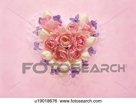 Stock Photograph - View of arrangement of flowers. Fotosearch
