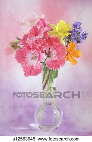 View of beautiful flowers in vase View Large Photo Image Stock Photo - View of beautiful flowers in vase. Fotosearch