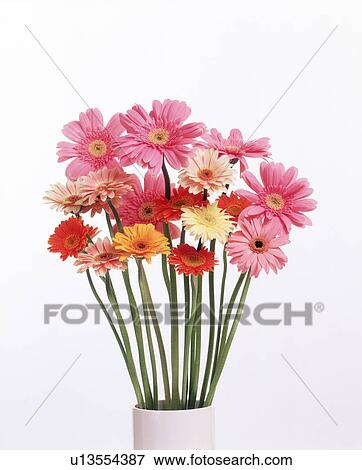 Stock Photo - View of colorful flowers in a pot. Fotosearch