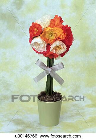 View of flowers in a pot View Large Photo Image Stock Photograph - View of flowers in a pot. Fotosearch