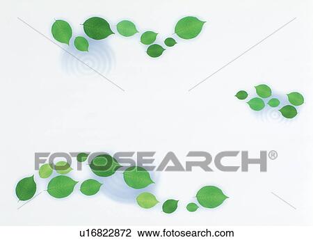 Stock Image - Leaves over water ripples (digital composite). Fotosearch