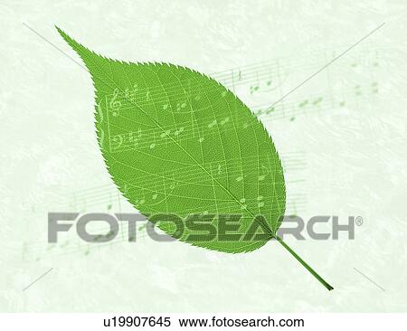 Stock Photography - View of a leaf with musical notes (digital composite). Fotosearch