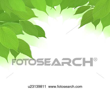 Stock Image - View of leaves with white background. Fotosearch