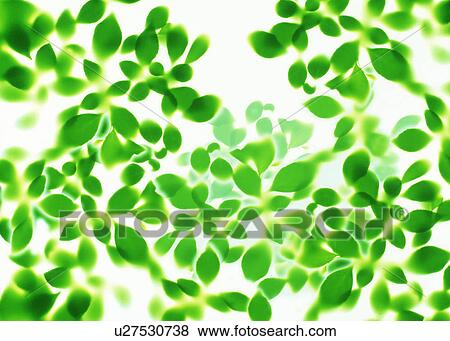 View of leaves with white background View Large Photo Image Stock Photo - View of leaves with white background. Fotosearch