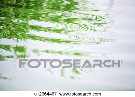 Reflection on water View Large Photo Image Stock Photo - Reflection on water. Fotosearch