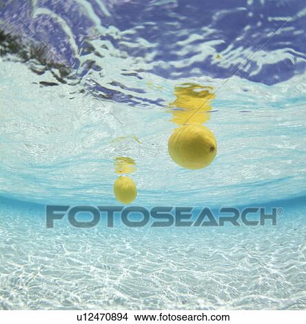 Picture - Underwater view of lemons floating in water. Fotosearch