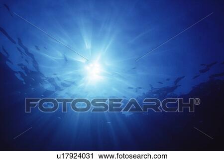 Stock Image - Underwater view of sunlight. Fotosearch