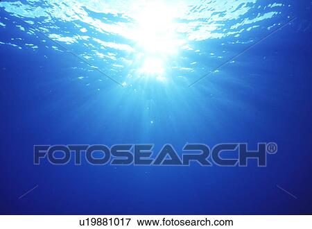 Stock Photo - Underwater view of sunlight. Fotosearch