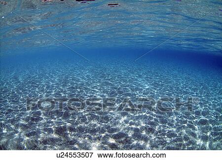 Underwater view View Large Photo Image Stock Photo - Underwater view. Fotosearch