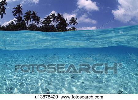 View of water body View Large Photo Image Stock Photo - View of water body. Fotosearch